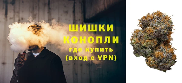 прущие грибы Инсар