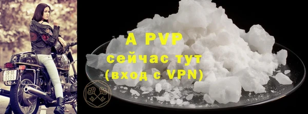 PSILOCYBIN Инта
