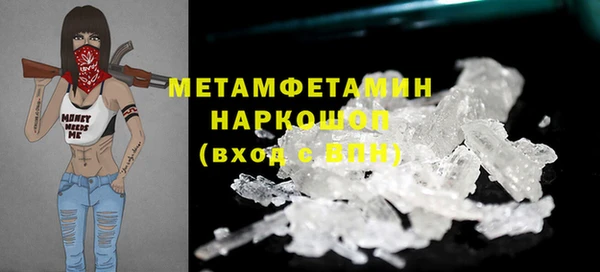прущие грибы Инсар