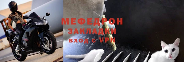 прущие грибы Инсар