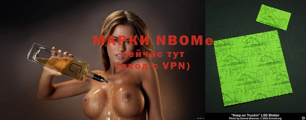 прущие грибы Инсар