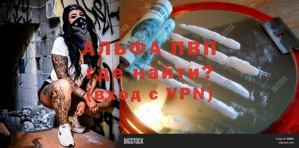 прущие грибы Инсар