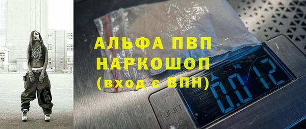 прущие грибы Инсар
