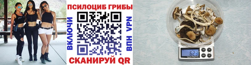 Галлюциногенные грибы GOLDEN TEACHER  Купить закладки  Карабаш 